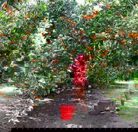 Fords Farm - Accommodation Melbourne