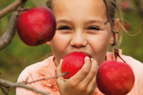 Suttons Juice Factory And Cidery - Melbourne 4u 2