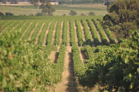 John Gehrig Wines Rutherglen - Accommodation Melbourne 2
