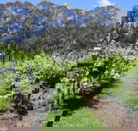 Woongooroo Estate Winery - Accommodation Melbourne