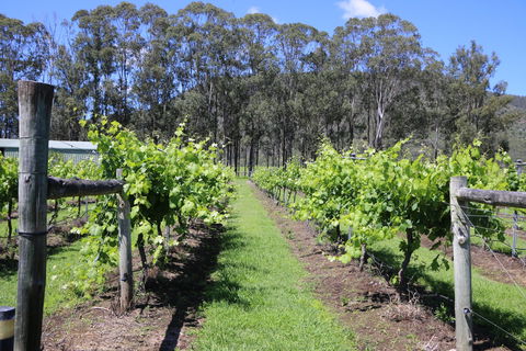 Woongooroo Estate Winery - Accommodation Melbourne 0