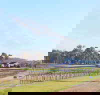 Blacklea Vineyard and Olive Grove - Accommodation Melbourne