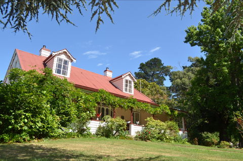 Lazy Teas - Accommodation Melbourne 0