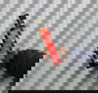 Red Rock Olives - Accommodation Melbourne