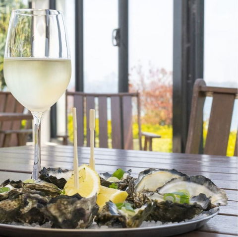 Harrigans Irish Pub And  Harrington River Lodge - Accommodation Melbourne 1