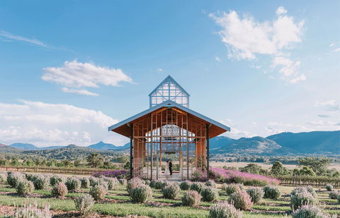 Kooroomba Vineyard And Lavender Farm - Accommodation Melbourne 0