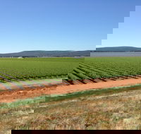 Melange Wines - Accommodation Melbourne