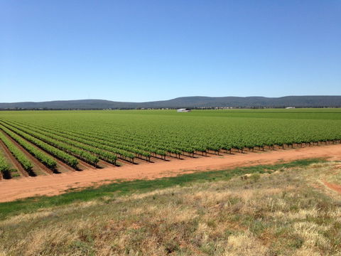 Melange Wines - Accommodation Melbourne 0