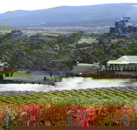 Milton Vineyard - Accommodation Melbourne