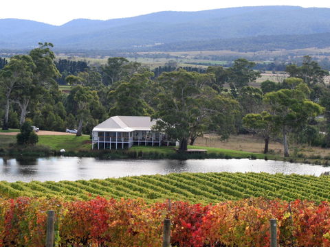 Milton Vineyard - Accommodation Melbourne 0