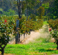 The Red Apron Gourmet Kitchen - Accommodation Melbourne