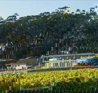 Moores Hill Estate - Accommodation Melbourne