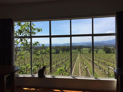 Yarra Yering - Accommodation Melbourne 2