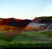 Dalwhinnie Wines - Accommodation Melbourne