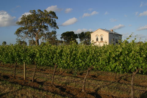 Highbank Vineyards - Accommodation Melbourne 0