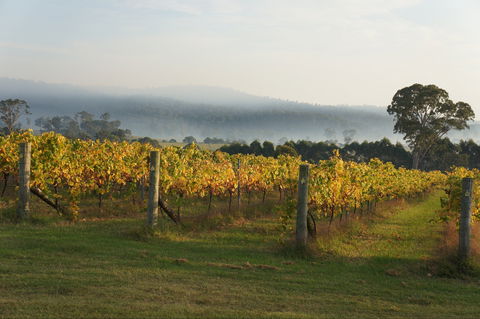 Rusty Fig Wines - Accommodation Melbourne 1
