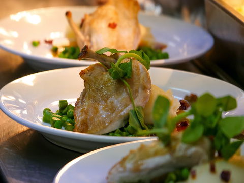 Griffith Exies Club - Accommodation Melbourne 1
