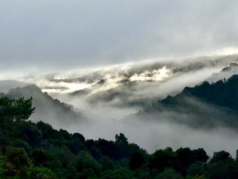 The Mushroom At Waratah - Accommodation Melbourne 0