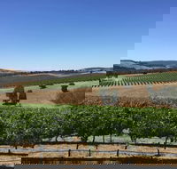 Peerick Vineyard and Winery - Accommodation Melbourne