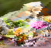 Australian Arid Lands Botanic Garden - Bluebush Cafe - Accommodation Melbourne