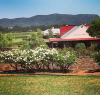 Hanging Tree Wines - Accommodation Melbourne