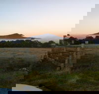 Mountainside Wines - Accommodation Melbourne