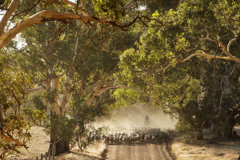 Eden Hall Wines - Accommodation Melbourne 2