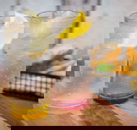 Fish 489 - Accommodation Melbourne