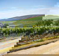 Jansz Tasmania - Accommodation Melbourne