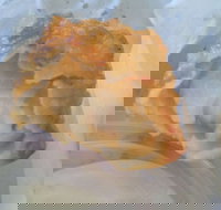 Promenade Fish Supply - Accommodation Melbourne