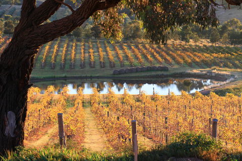 Sanguine Estate - Accommodation Melbourne 0