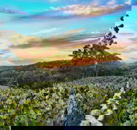 Between the Vines Cellar Door - Accommodation Melbourne