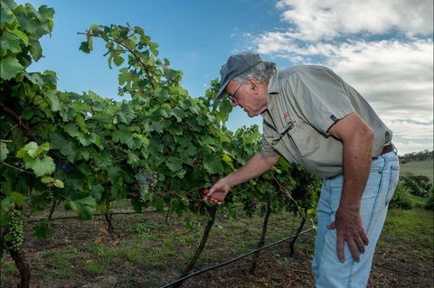 Vale Creek Wines - Accommodation Melbourne 2