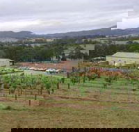 Villa d Esta Vineyard - Accommodation Melbourne