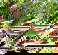 Jaques Coffee Plantation - Accommodation Melbourne