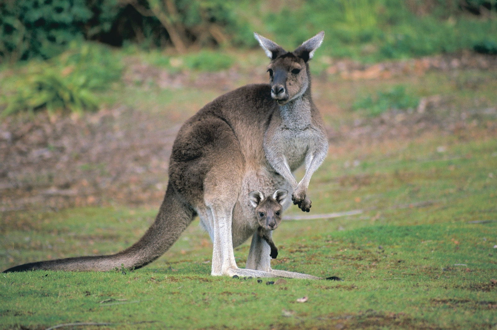 Glen Forrest WA Accommodation Melbourne