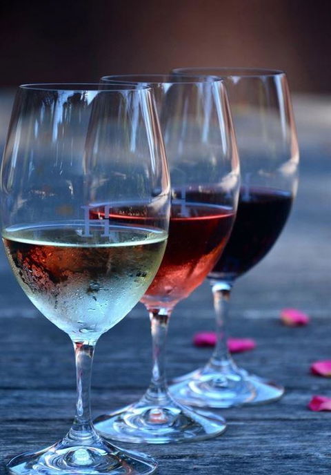 Vines Restaurant At Hollydene Estate - Accommodation Melbourne 8