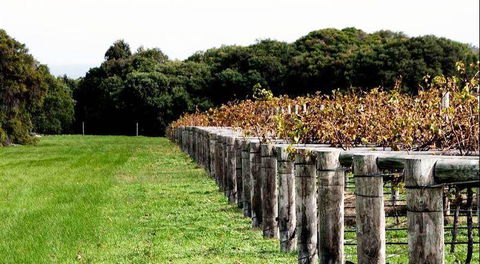 Blackbird Artisan Bakery - Accommodation Melbourne 5