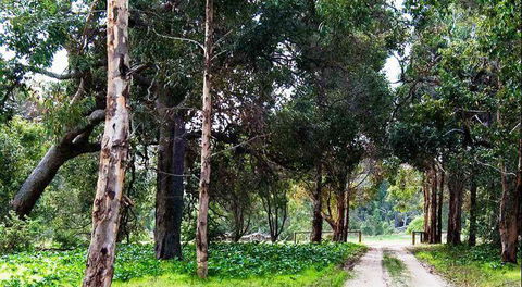 Blackbird Artisan Bakery - Accommodation Melbourne 7