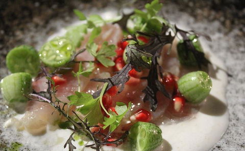 Allegra Dining - Accommodation Melbourne 1