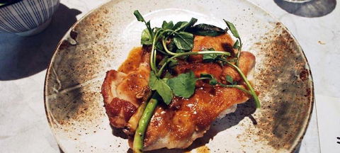 Allegra Dining - Accommodation Melbourne 6