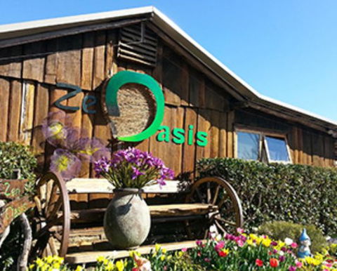 Zen Oasis Vegetarian Restaurant - Melbourne 4u 0