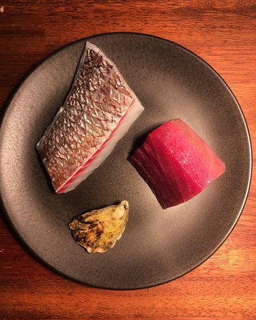 Yellowtail - Accommodation Melbourne 0