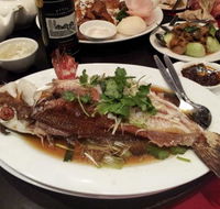 Shark Fin Inn - Accommodation Melbourne