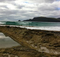 Bruny Island Berry Farm - Accommodation Melbourne