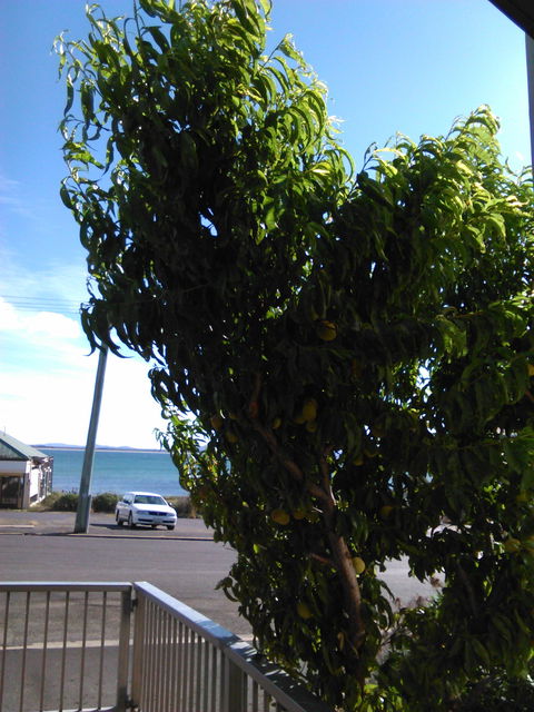 Fire & Ice Cafe - Accommodation Melbourne 7