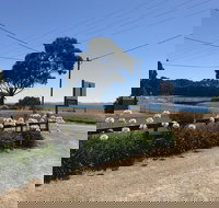 Penguin  Pardalote Coffee House - Accommodation Melbourne