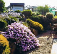Pipers River Tea House and Crafts - Accommodation Melbourne