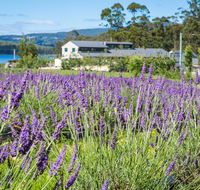 Port Arthur Lavender - Accommodation Melbourne
