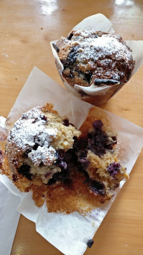 The Coffee Shack - Melbourne 4u 4
